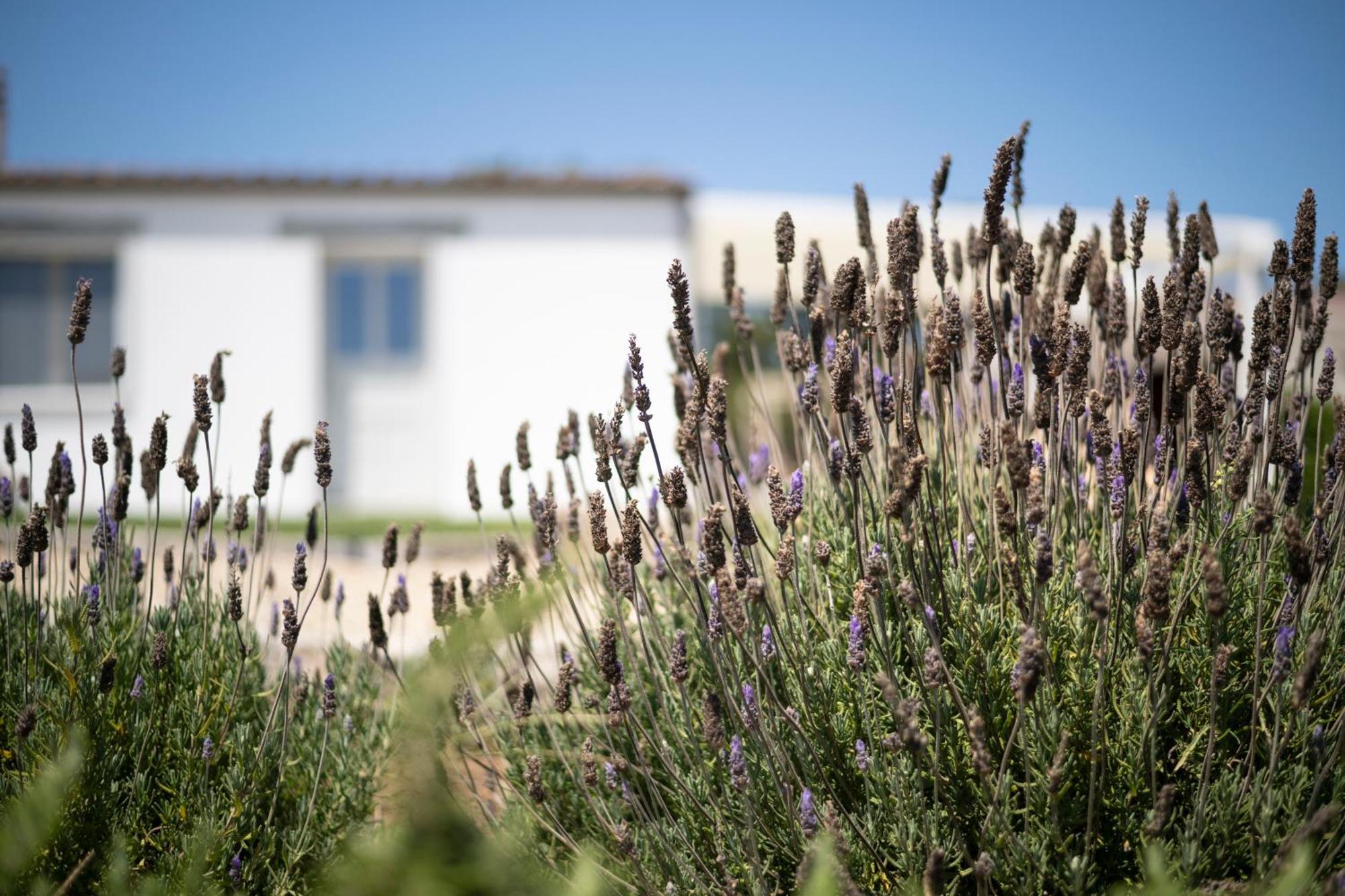 Casa Di Minnanni B&B Santa Teresa Gallura Exterior foto